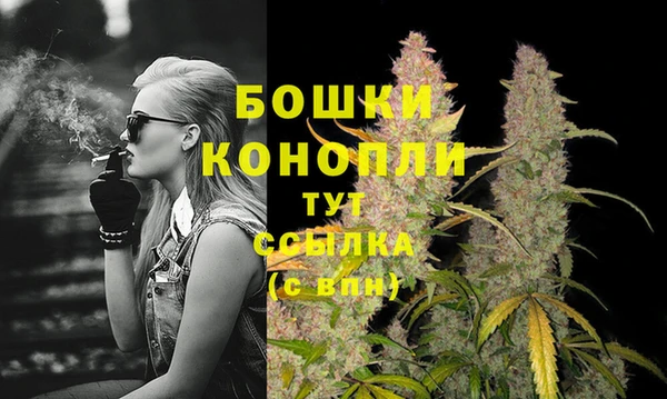 бутират Богородицк
