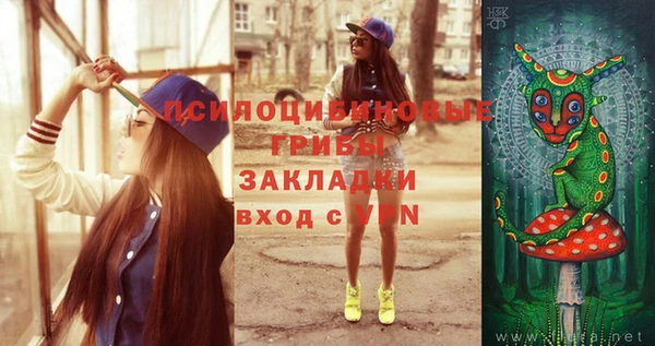 бутират Богородицк