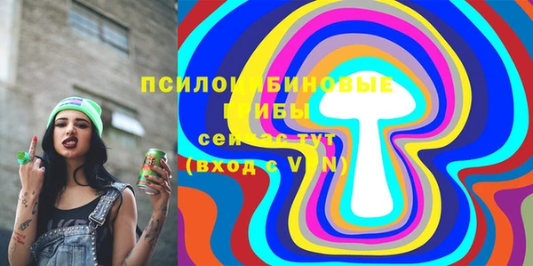 бутират Богородицк