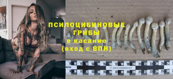 MESCALINE Богданович