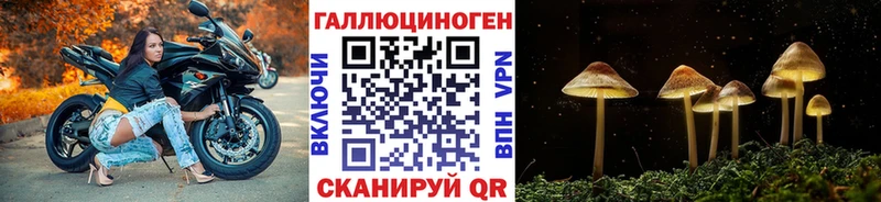 Купить где  Гаврилов-Ям  Галлюциногенные грибы GOLDEN TEACHER 